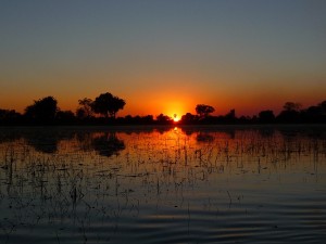 Pelo Camp in the Okavango Delta