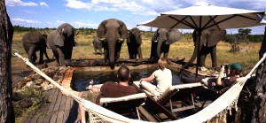 Elephants Playground - Somalisa Camp