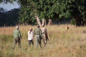 Walking Safari South Luangwa NP