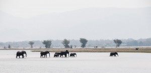 Mana Pools