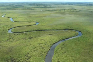 Okavango Delta